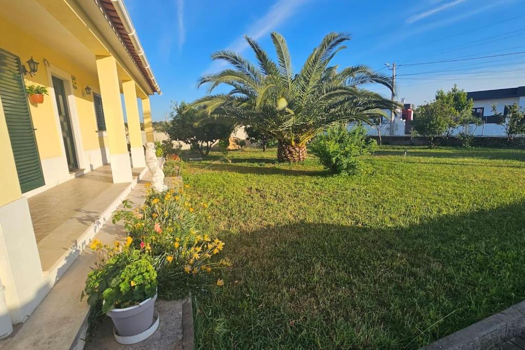 Quinta Marinhais Para Ferias No Ribatejo Exteriér fotografie