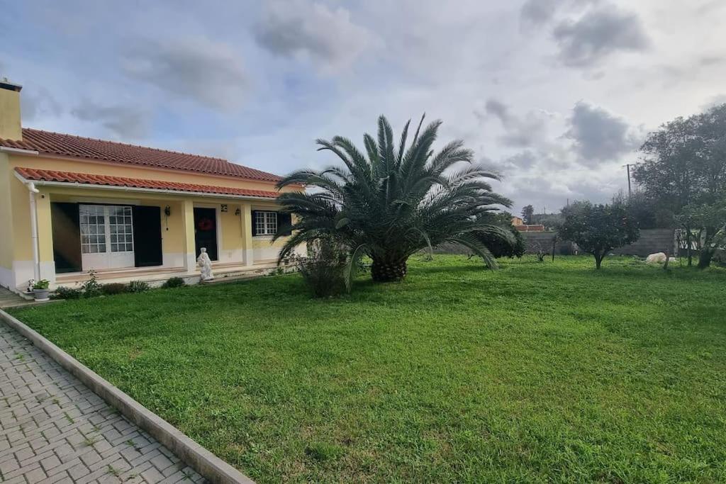 Quinta Marinhais Para Ferias No Ribatejo Exteriér fotografie