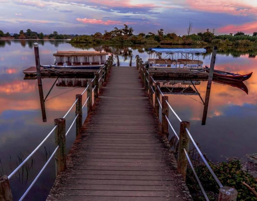 Quinta Marinhais Para Ferias No Ribatejo Exteriér fotografie