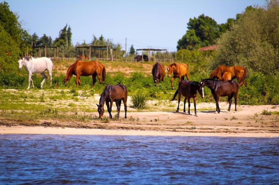 Quinta Marinhais Para Ferias No Ribatejo Exteriér fotografie