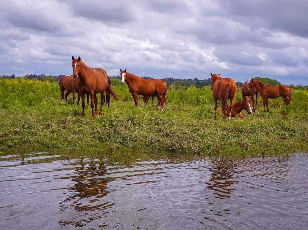 Quinta Marinhais Para Ferias No Ribatejo Exteriér fotografie