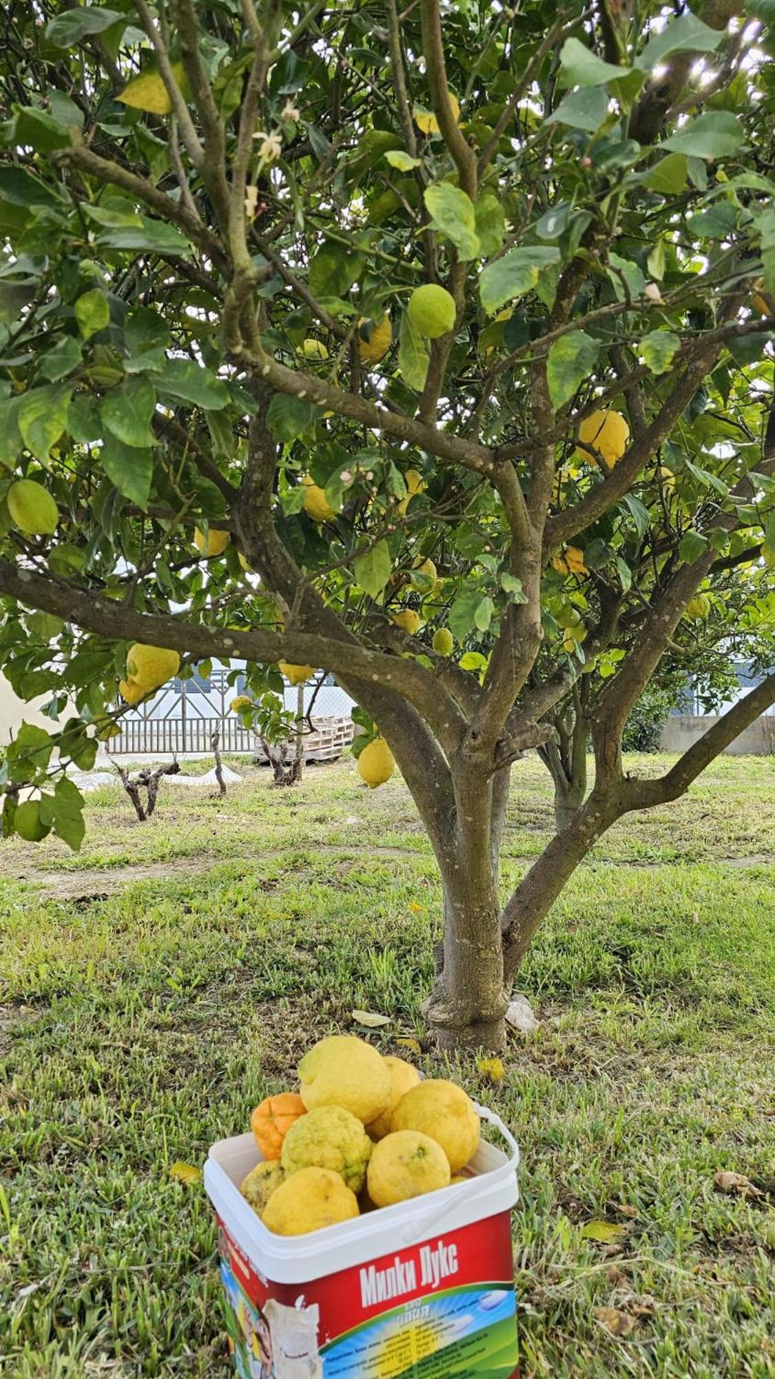 Quinta Marinhais Para Ferias No Ribatejo Exteriér fotografie